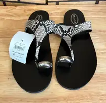 Scoop‎ Snakeskin Print Sandals Size 10