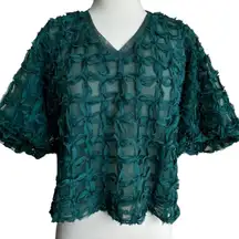 Anthropologie‎ Sarah Hann Blouse Teal LGE Chiffon Sheer Tulle Victorian Feminine