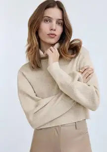 Wilfred Cropped Sweater