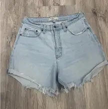 Abercrombie Fitch Curve Love The Dad Short High Rise Light Wash Denim Size 30