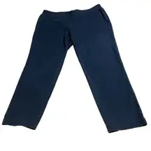 J.Jill Women's Slim-Leg Knit Jeans Blue Large Petite Soft Stretch Fabric
