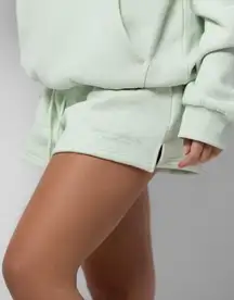 Comfrt pastel shorts size large 