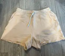 Outfitters Orange Shorts