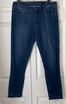 Articles Of Society Dark Wash Stretch‎ Skinny Denim Jeans Womens 31