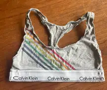 Calvin Klein Gray Bra with Multicolor Stripes