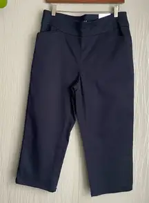 Croft & Barrow Mid Rise Effortless Capri Navy Blue Pants Size 10