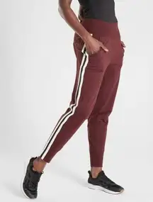 Venice Side Stripe Jogger Pants