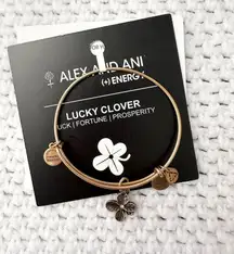 ALEX AND ANI  Lucky Clover Brass Gold Charm Bracelet New in Box