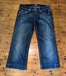 7 for All Mankind dojo western 25 embroidered 7 jeans