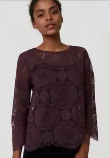 Ann Taylor Sheer Laced Long Sleeve Top Round Neck Key Hole Button XS Plum #4224