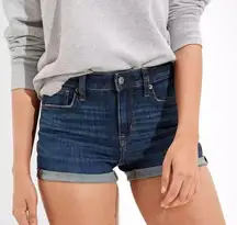 American Eagle  next level stretch denim short