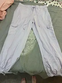 Wild Fable Purple Cargo Pants