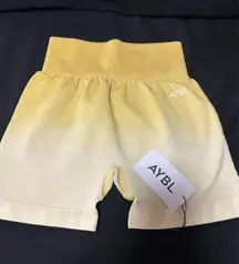 AYBL Pulse Ombre Seamless Shorts Biker