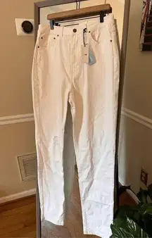 American Tail Lola Ultra High Rise Stretch Skim‎ NwT