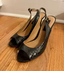 Anne Taylor Heels