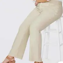 Curves 360 by NYDJ The Trouser Pant