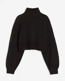 Divided Cropped Turtleneck Sweater