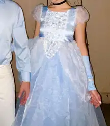 Cinderella dress Costume