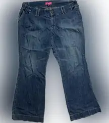 Liz Lange Maternity Jeans