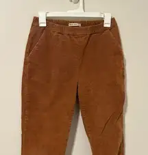 Marine Layer Corduroy Brown Pants Fall Academia Academic Size XS