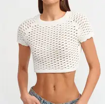 Zara crochet crop shirt