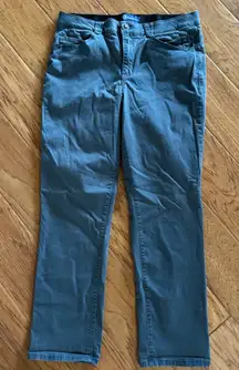 Democracy Ab Solution Jeans Women’s 16 Dark Teal Colored Stretch Jeggings Ankle