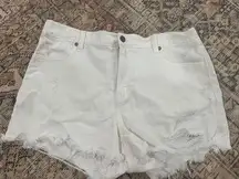 Shorts size large