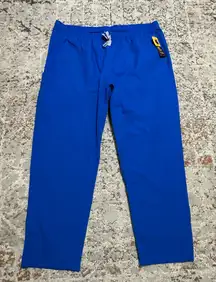 Carhartt C55013 - Unisex Force Modern Cargo Fit Elastic Waist Pant 2X blue Scrub