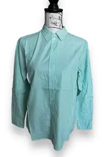 Everlane Mint Green Striped Button Down Oxford Shirt