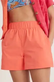 Marine Layer Canyon Sports Shorts Athletic Shorts with Elastic Waist Small