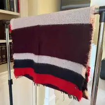 Express Multi-Colored Soft Fringe Scarf