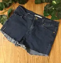 Anne Klein Vintage High Waist Frayed Hem Cutoff Blue Jean Denim Shorts 6