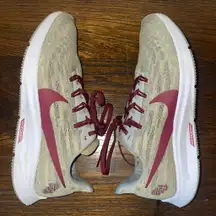 Nike FSU Pegasus 36