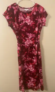 J.‎ Jill Belted Pink Red Floral Patterned Midi Dress Size Medium Petite MP