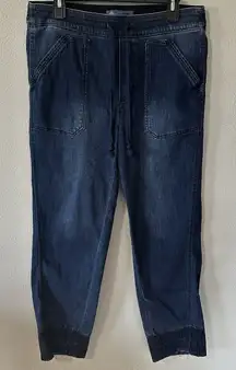 Democracy Jeans‎ Women's 10 Blue Pull On High Rise Drawstring Casual Straight