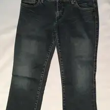 Silver aiko ankle jeans 30 capri - get ready for spring 5 pocket EUC