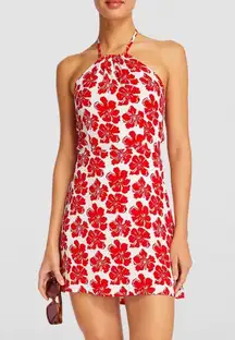 Faithfull the Brand Faithful The Brand Gaia Mini Dress In La Presa Red Floral Print