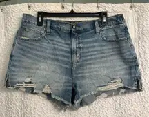 Aerie Blue Jean Shorts with Distressed Hem Size L (NWT)