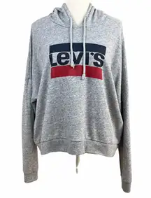 Crop Boxy Fit Big Logo Hoodie Sweatshirt