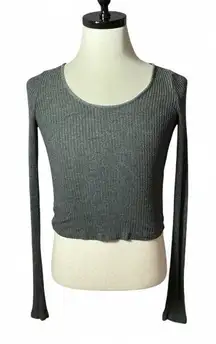 Brandy Melville Gray Ribbed Knit Long Sleeve Crop Top‎ Basic