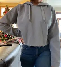 Dusty Gray Cropped Hoodie