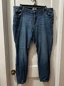 True Craft High Rise Skinny Jean in 22W