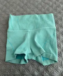 Blue Aerie offline biker shorts 
