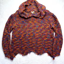 Kori America Fall Multicolor Chunky Knit Hooded Sweater Zigzag Fringe Boho S/M