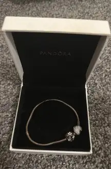 Pandora Charm Bracelet