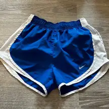 Dri-Fit Shorts