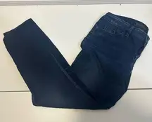 GUESS size 31 jeans denim Brittney skinny quiet luxury