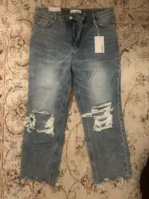 Vervet Jeans Distressed