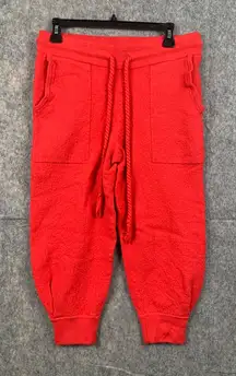 Ulla‎ Johnson Womens Size Large Alfie Wool Joggers Track Pants 100% Merino Wool