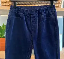 Eileen Fisher Pull On Elastic Waist Cord Skinny Pant, XXS